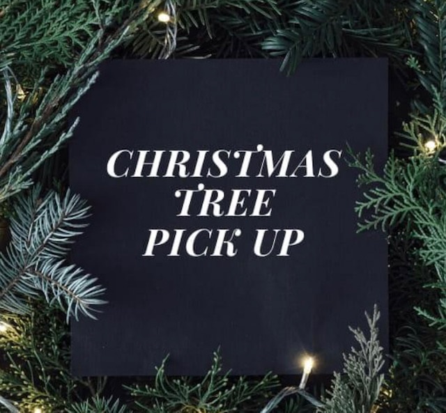 Christmas Tree Pick Up Kirkpatrick Farms